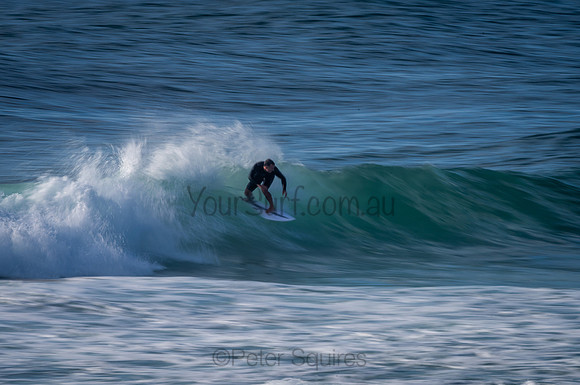 Avalon_210204_080522_0496