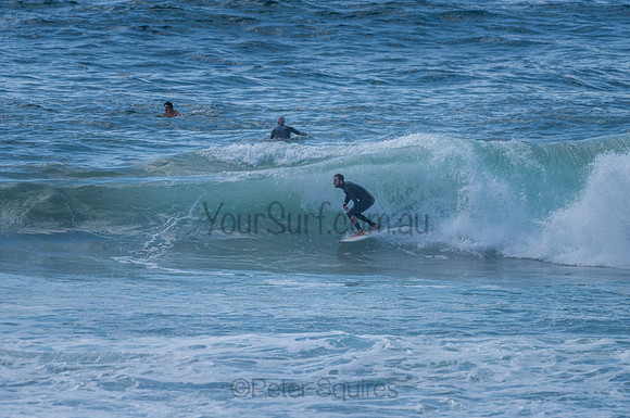 Avalon_210204_095603_0587