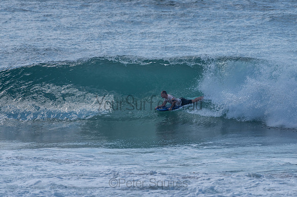 Avalon_210204_095637_0589