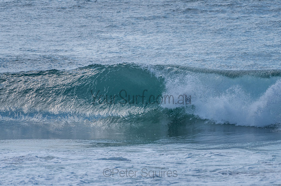 Avalon_210204_095638_0594