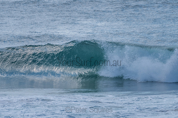 Avalon_210204_095638_0595