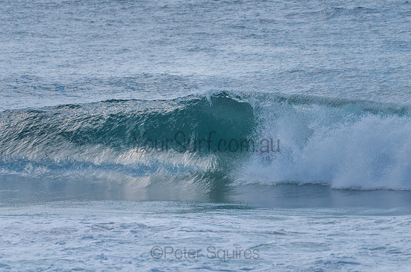 Avalon_210204_095638_0596
