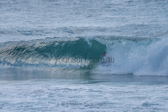 Avalon_210204_095639_0597
