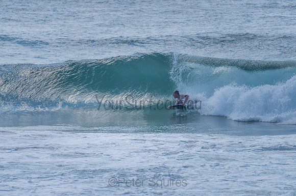 Avalon_210204_095639_0598