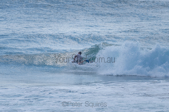 Avalon_210204_095641_0601