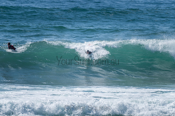 Avalon_210204_101906_0670