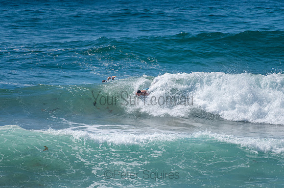 Avalon_210204_103702_0744