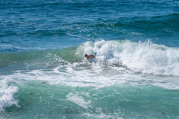 Avalon_210204_103702_0746
