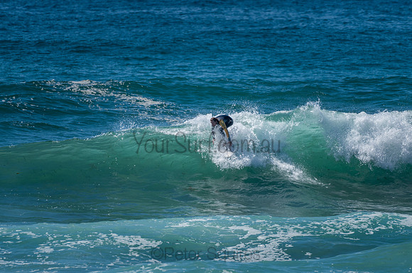 Avalon_210204_104041_0781