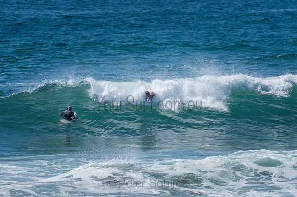 Avalon_210204_104253_0783