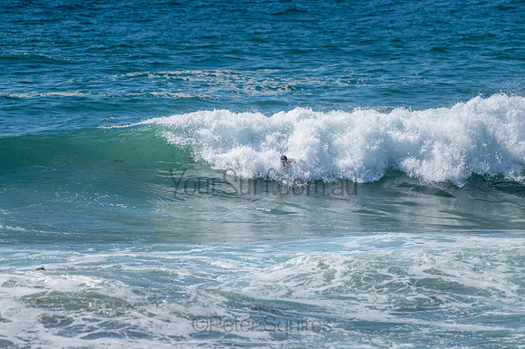 Avalon_210204_104254_0784