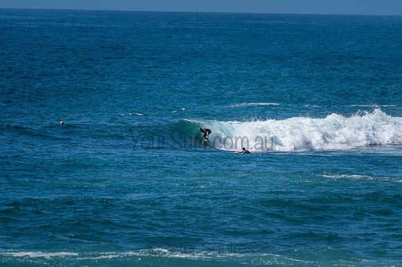 Avalon_210204_110255_0903