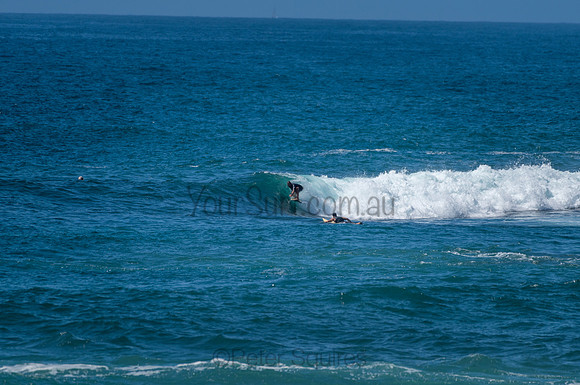 Avalon_210204_110256_0904