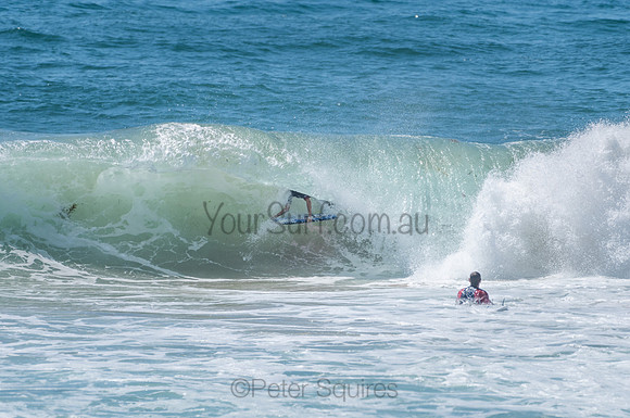 Avalon_210204_111144_0988