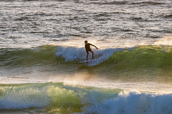 Newport_210205_065446_0316