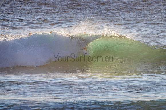 Whale Beach_210207_070221_0105