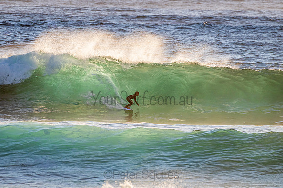 Whale Beach_210207_070522_0124