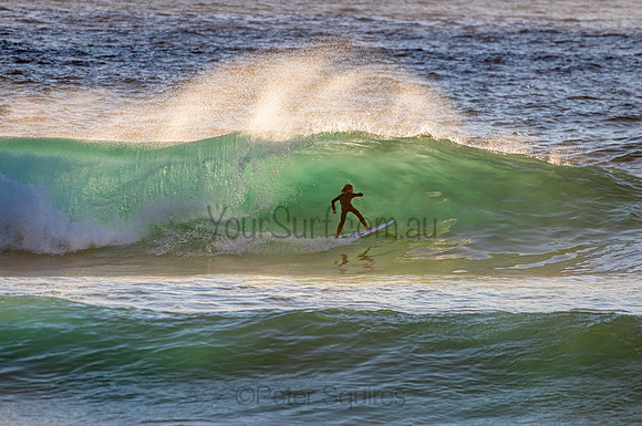 Whale Beach_210207_070524_0127