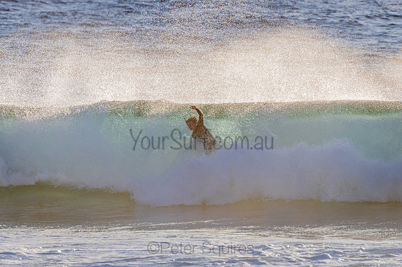Whale Beach_210207_071125_0243