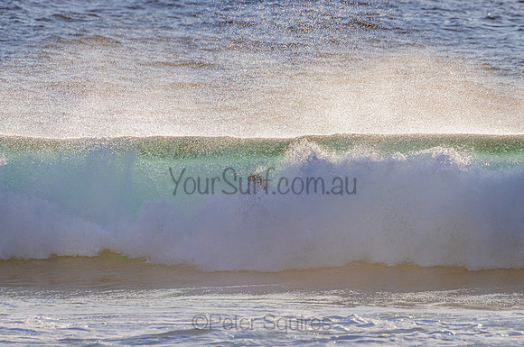 Whale Beach_210207_071125_0244