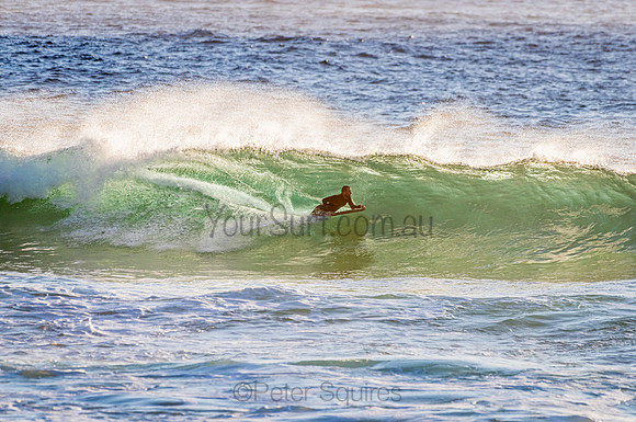 Whale Beach_210207_071249_0254