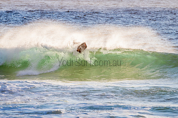 Whale Beach_210207_071250_0257