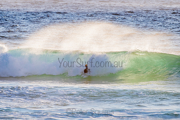 Whale Beach_210207_071251_0261