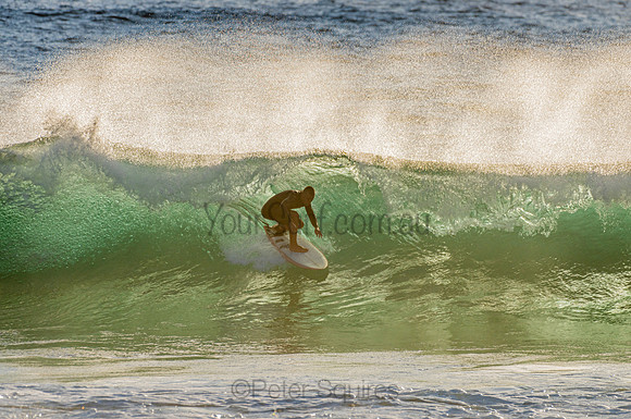 Whale Beach_210207_071500_0266
