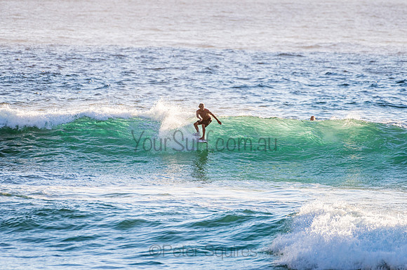 Whale Beach_210207_071715_0276