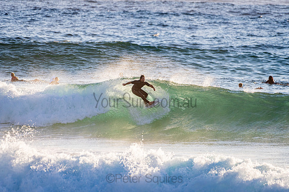 Whale Beach_210207_071730_0281
