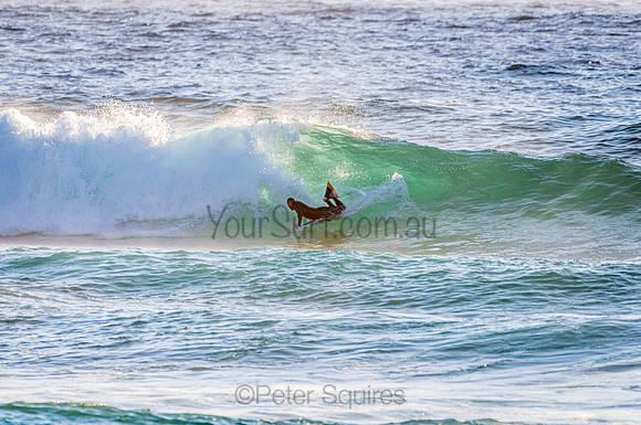 Whale Beach_210207_072053_0343