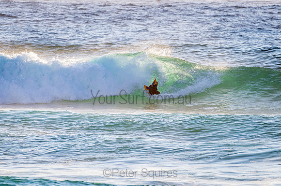 Whale Beach_210207_072053_0345