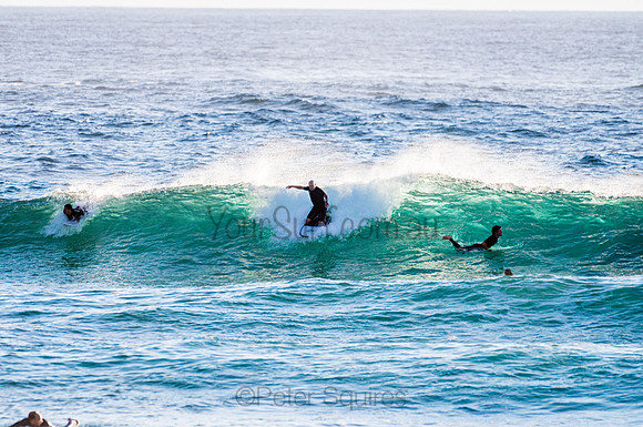 Whale Beach_210207_072444_0365