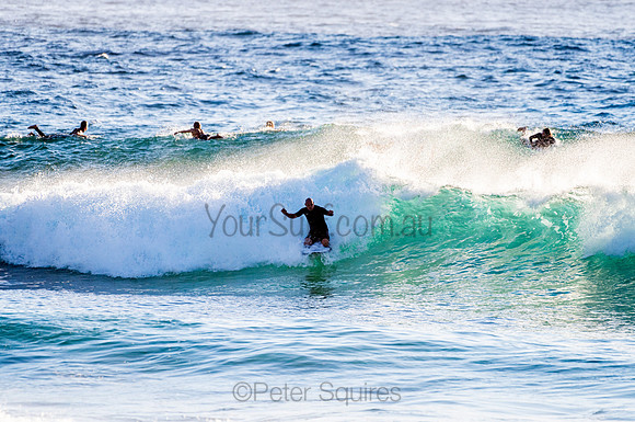 Whale Beach_210207_072451_0366