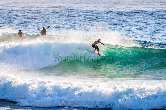 Whale Beach_210207_072458_0379