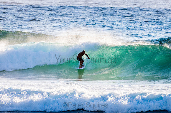 Whale Beach_210207_072459_0384