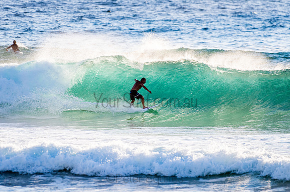 Whale Beach_210207_072500_0386