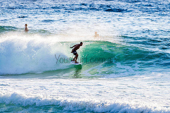 Whale Beach_210207_072502_0396