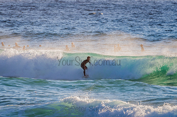 Whale Beach_210207_072654_0405