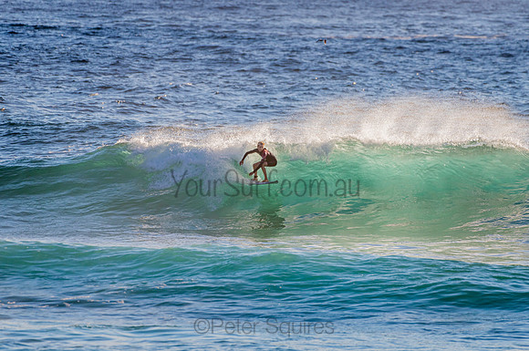Whale Beach_210207_072808_0406