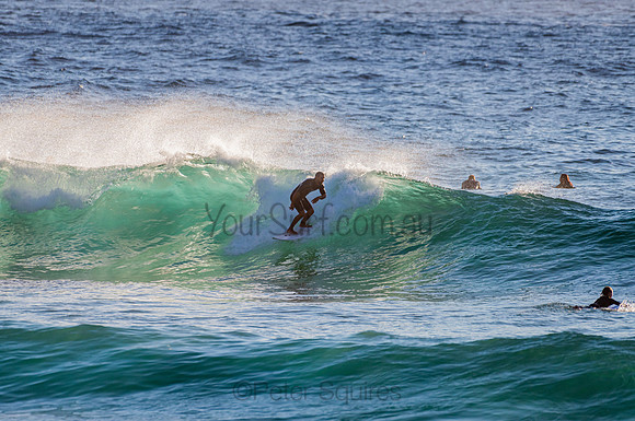 Whale Beach_210207_072819_0408