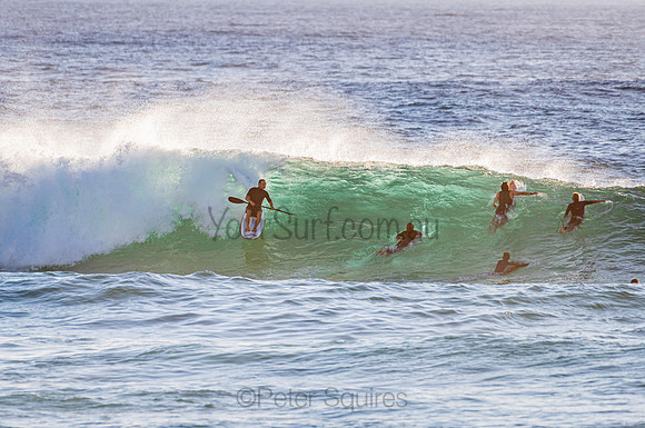 Whale Beach_210207_073132_0438