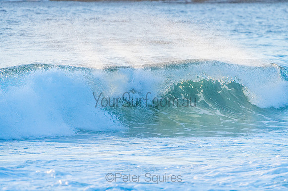 Whale Beach_210211_064858_0088