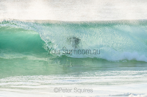 Whale Beach_210211_071428_0370