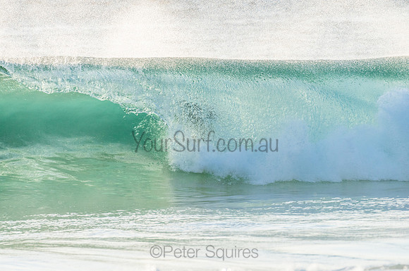 Whale Beach_210211_071428_0371