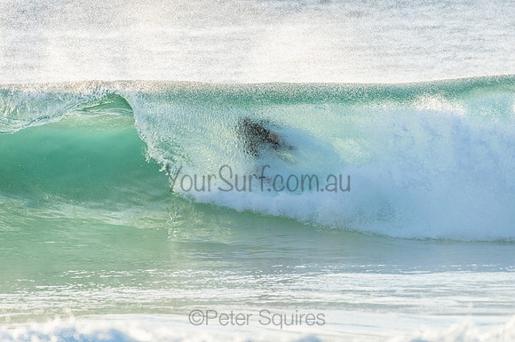 Whale Beach_210211_071428_0373