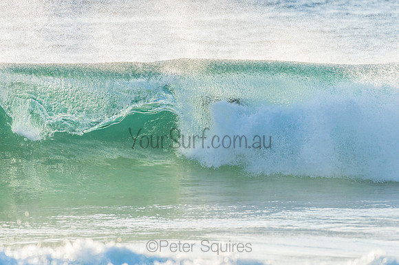 Whale Beach_210211_071428_0374