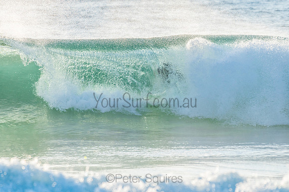 Whale Beach_210211_071428_0375