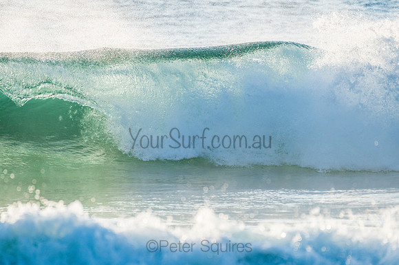 Whale Beach_210211_071429_0377