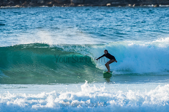 Whale Beach_210211_072111_0463